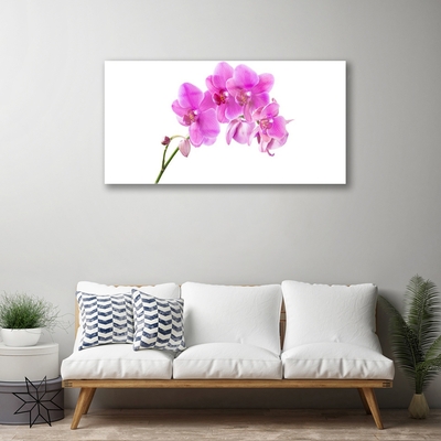 Foto schilderij op glas Orchidee bloem orchidee