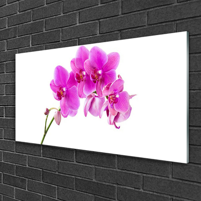 Foto schilderij op glas Orchidee bloem orchidee