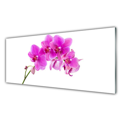 Foto schilderij op glas Orchidee bloem orchidee