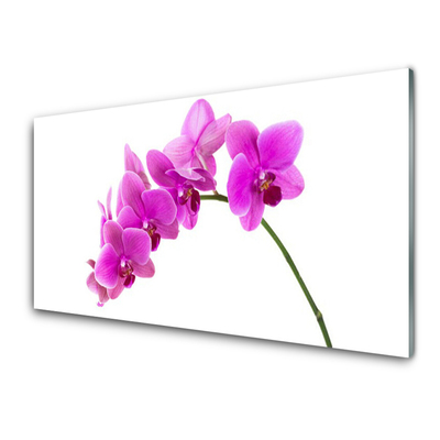 Foto schilderij op glas Orchidee bloem orchidee