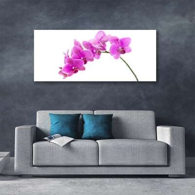 Foto schilderij op glas Orchidee bloem orchidee