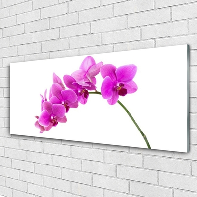 Foto schilderij op glas Orchidee bloem orchidee