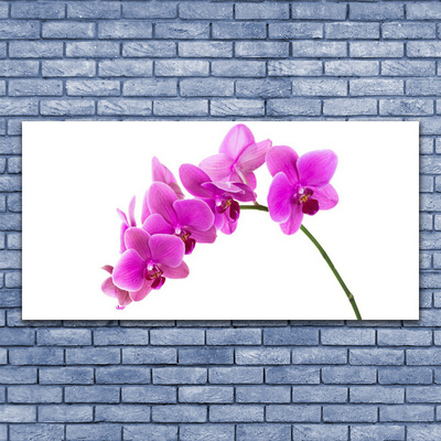 Foto schilderij op glas Orchidee bloem orchidee