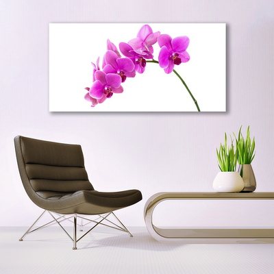 Foto schilderij op glas Orchidee bloem orchidee