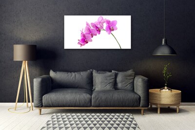 Foto schilderij op glas Orchidee bloem orchidee