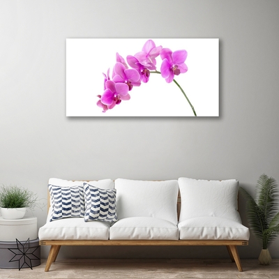 Foto schilderij op glas Orchidee bloem orchidee