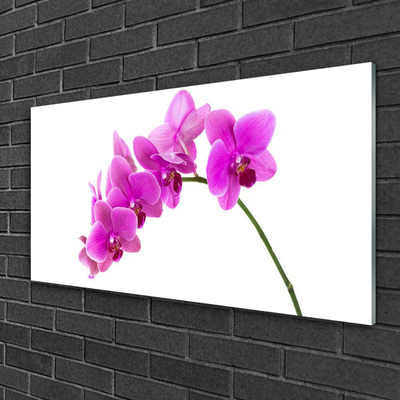 Foto schilderij op glas Orchidee bloem orchidee