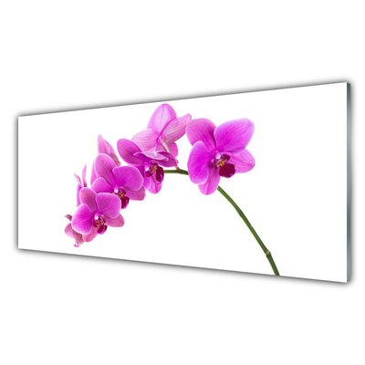 Foto schilderij op glas Orchidee bloem orchidee