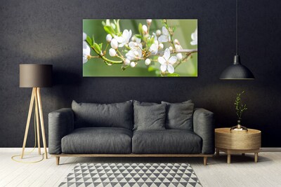 Foto schilderij op glas Takken bladeren van bloemen sad