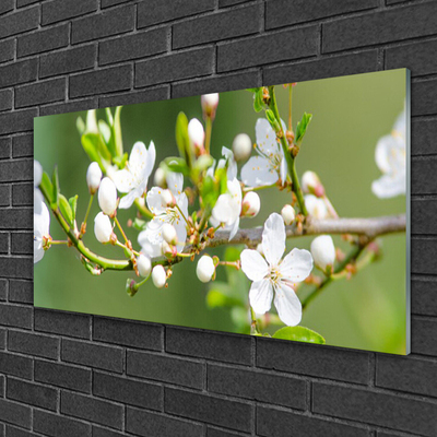 Foto schilderij op glas Takken bladeren van bloemen sad