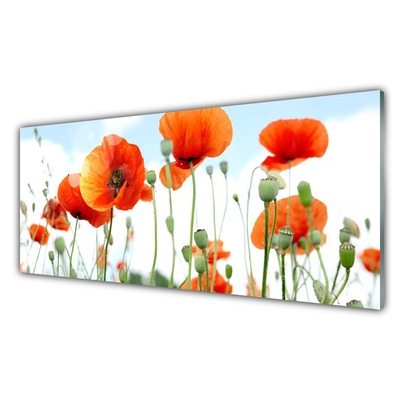 Foto schilderij op glas Veld met klaprozen bloemen weide natuur