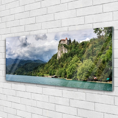 Foto schilderij op glas Castle in the mountains bos landschap