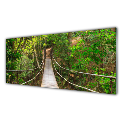 Foto schilderij op glas De meeste jungle regenwoud