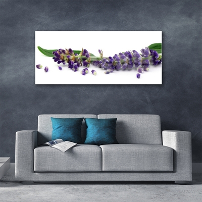 Foto schilderij op glas Lavender still life