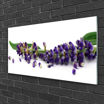 Foto schilderij op glas Lavender still life