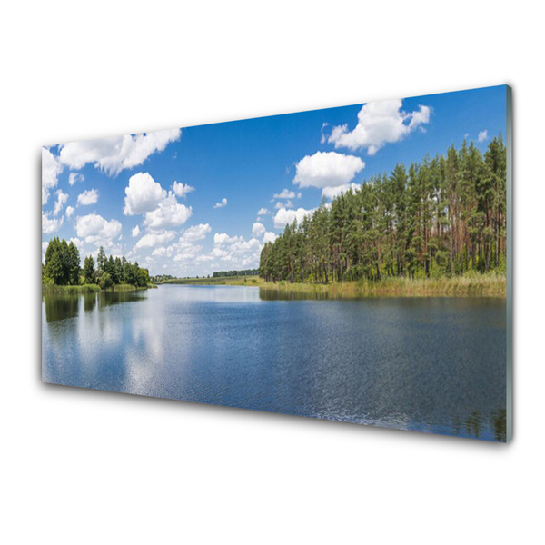 Foto schilderij op glas Lake forest landscape