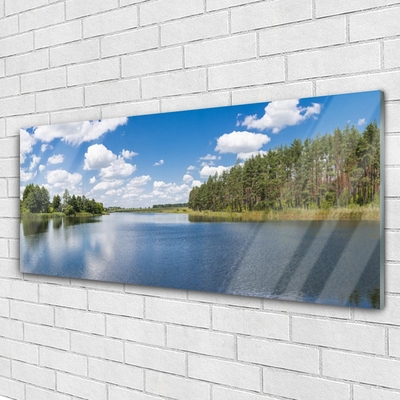 Foto schilderij op glas Lake forest landscape