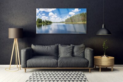Foto schilderij op glas Lake forest landscape