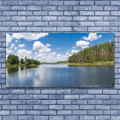 Foto schilderij op glas Lake forest landscape