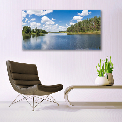 Foto schilderij op glas Lake forest landscape