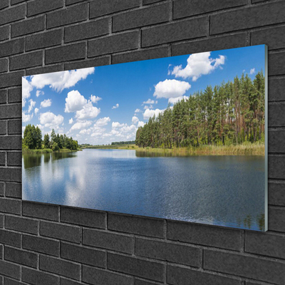 Foto schilderij op glas Lake forest landscape