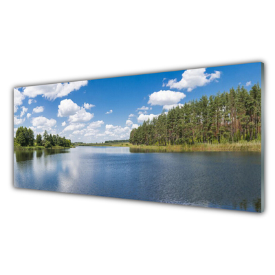 Foto schilderij op glas Lake forest landscape