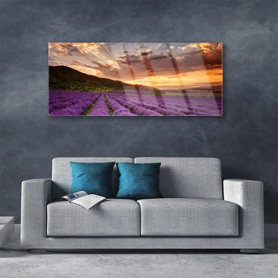 Foto schilderij op glas Field of lavender sunset