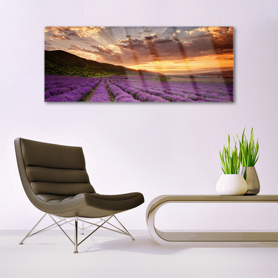 Foto schilderij op glas Field of lavender sunset
