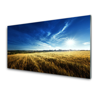 Foto schilderij op glas Korenveld zon landschap