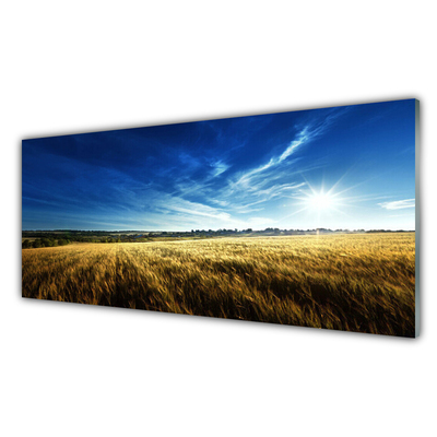 Foto schilderij op glas Korenveld zon landschap