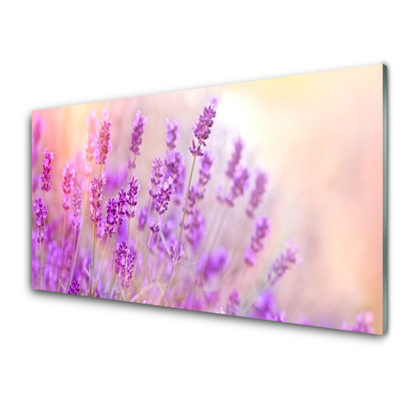 Foto schilderij op glas Lavender field of sun flowers