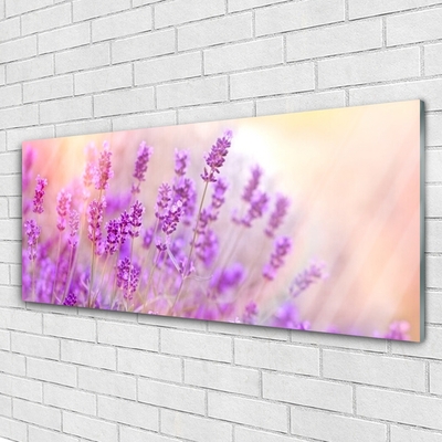 Foto schilderij op glas Lavender field of sun flowers