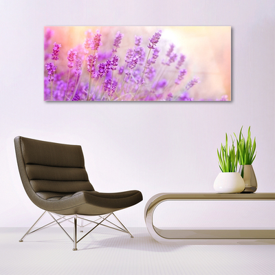 Foto schilderij op glas Lavender field of sun flowers