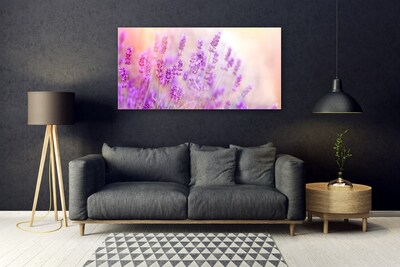 Foto schilderij op glas Lavender field of sun flowers