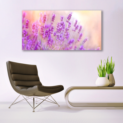 Foto schilderij op glas Lavender field of sun flowers