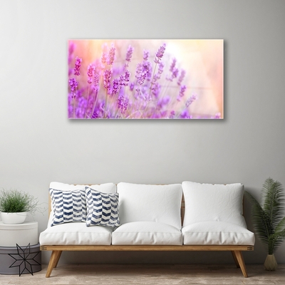 Foto schilderij op glas Lavender field of sun flowers