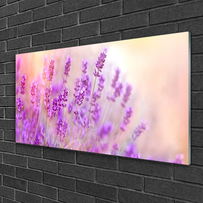 Foto schilderij op glas Lavender field of sun flowers