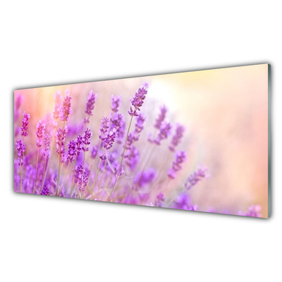 Foto schilderij op glas Lavender field of sun flowers