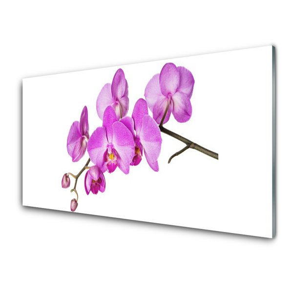 Foto schilderij op glas Orchidee orchidee bloemen