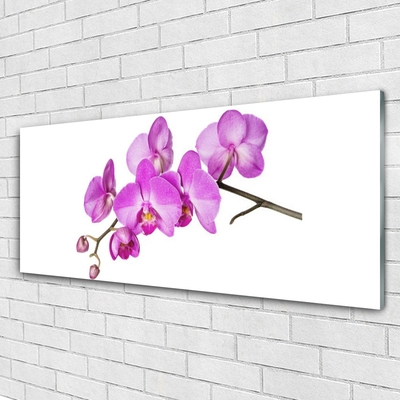 Foto schilderij op glas Orchidee orchidee bloemen