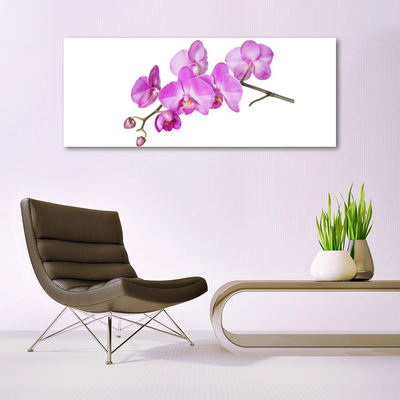 Foto schilderij op glas Orchidee orchidee bloemen