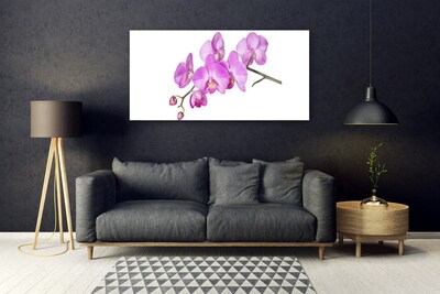 Foto schilderij op glas Orchidee orchidee bloemen