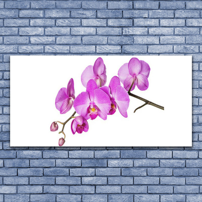 Foto schilderij op glas Orchidee orchidee bloemen