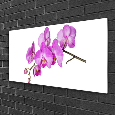 Foto schilderij op glas Orchidee orchidee bloemen