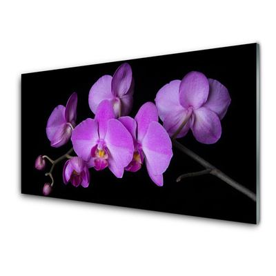 Foto schilderij op glas Orchidee orchidee bloemen