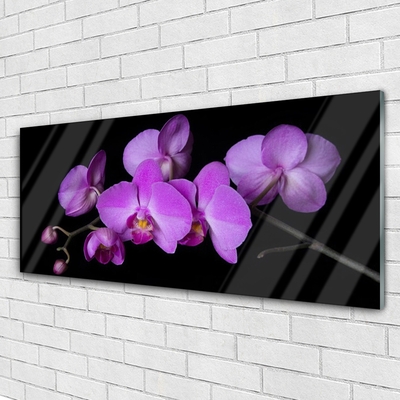 Foto schilderij op glas Orchidee orchidee bloemen