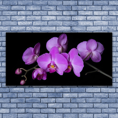 Foto schilderij op glas Orchidee orchidee bloemen