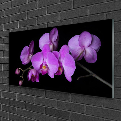 Foto schilderij op glas Orchidee orchidee bloemen