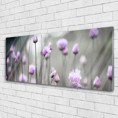 Foto schilderij op glas Bloemen wilde weide natuur