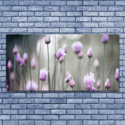 Foto schilderij op glas Bloemen wilde weide natuur